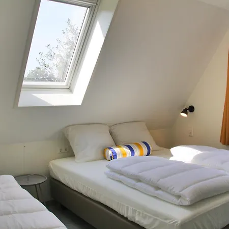 Sandy 36 * カラントスウオーフ