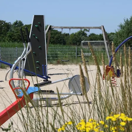 Sandy 36 * カラントスウオーフ